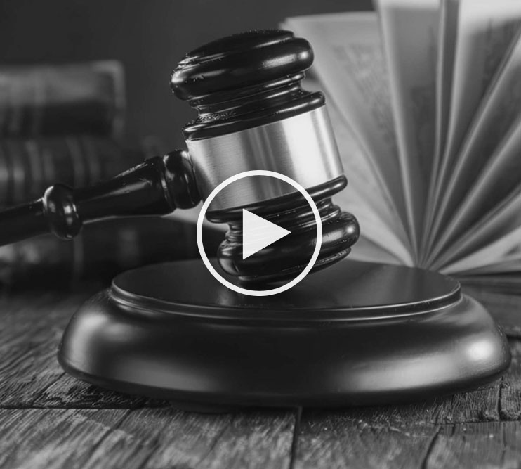 Winchester Will writer - probate video